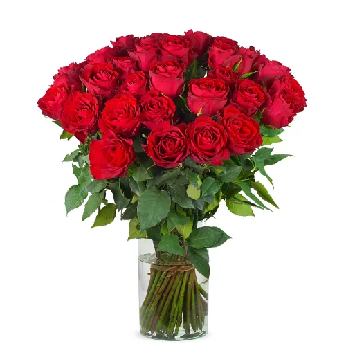 Rozen boeket — Een weelderig boeket rode rozen — een klassiek en krachtig gebaar van liefde. Zonder vaas.